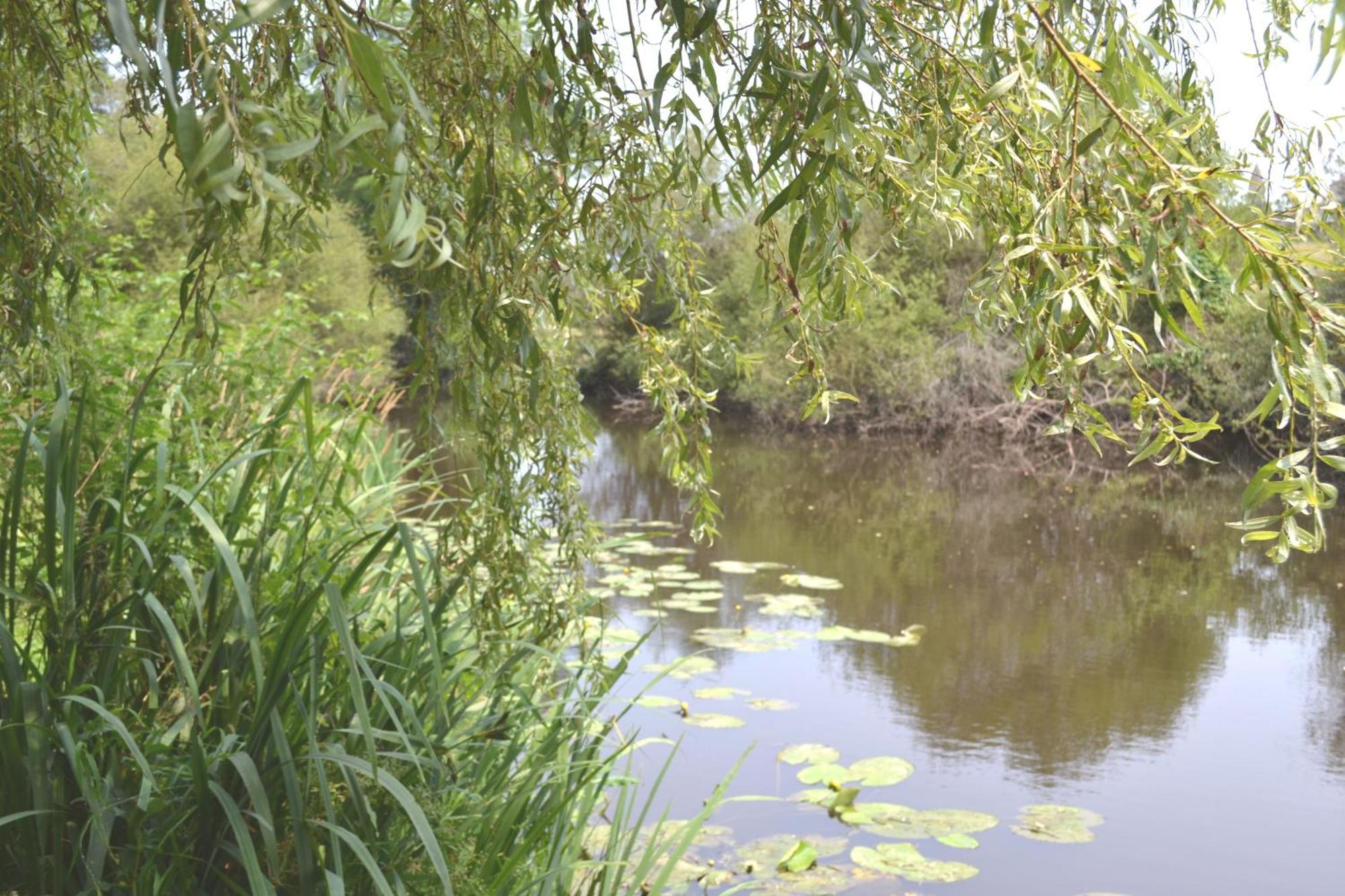 Les Bruyeres B&B Montbron Esterno foto